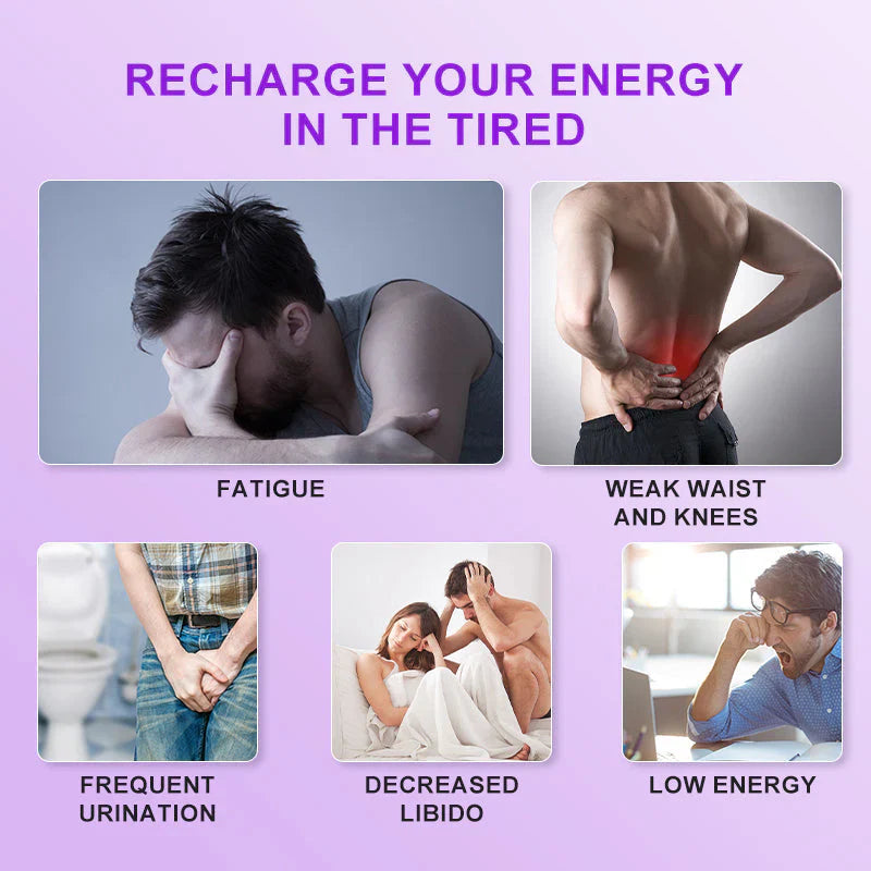🌿Panax & Mulberry Herbal Tea🍵Boost Energy, Sleep Better, Support Kidneys