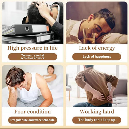 🌿Panax & Mulberry Herbal Tea🍵Boost Energy, Sleep Better, Support Kidneys